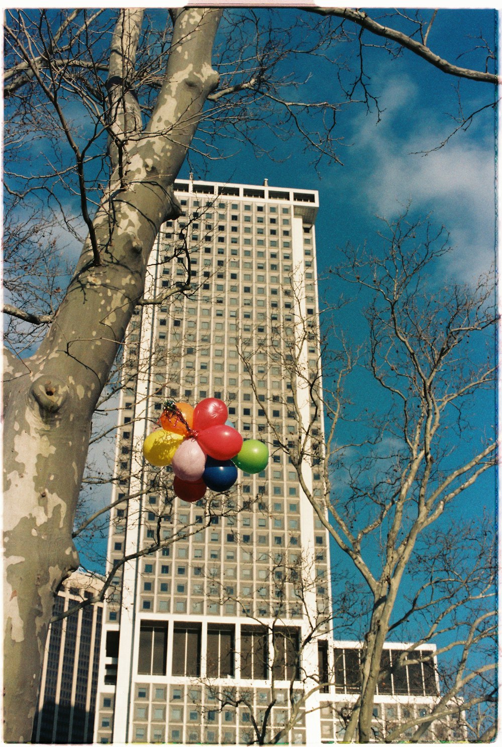 bunch of multicolored balloons