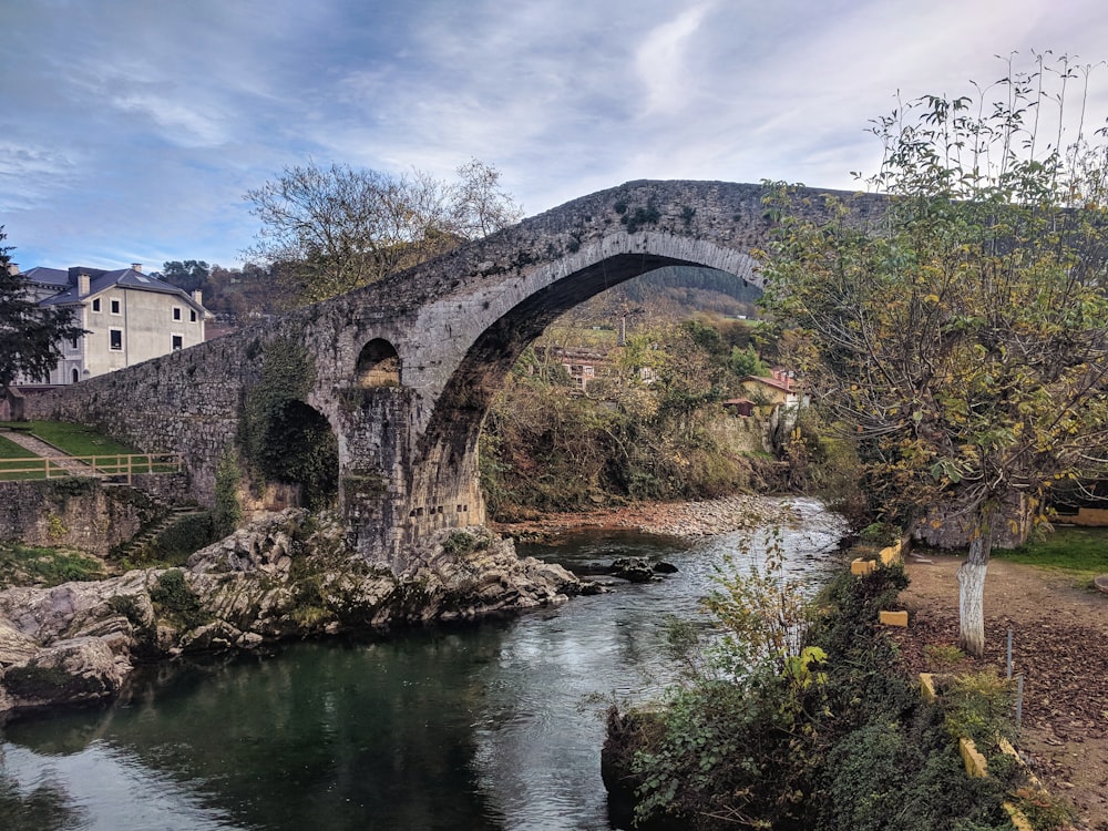 Graue Betonbrücke in der Nähe von Bäumen