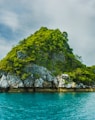 green trees on cliff