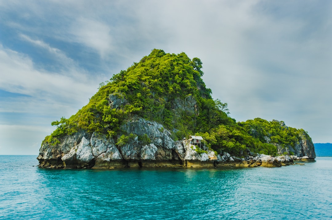 green trees on cliff,