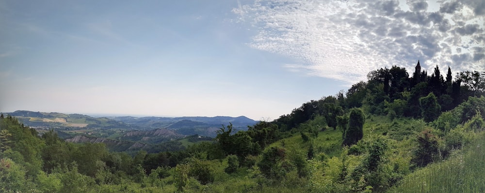 Montagne de l’arbre vert