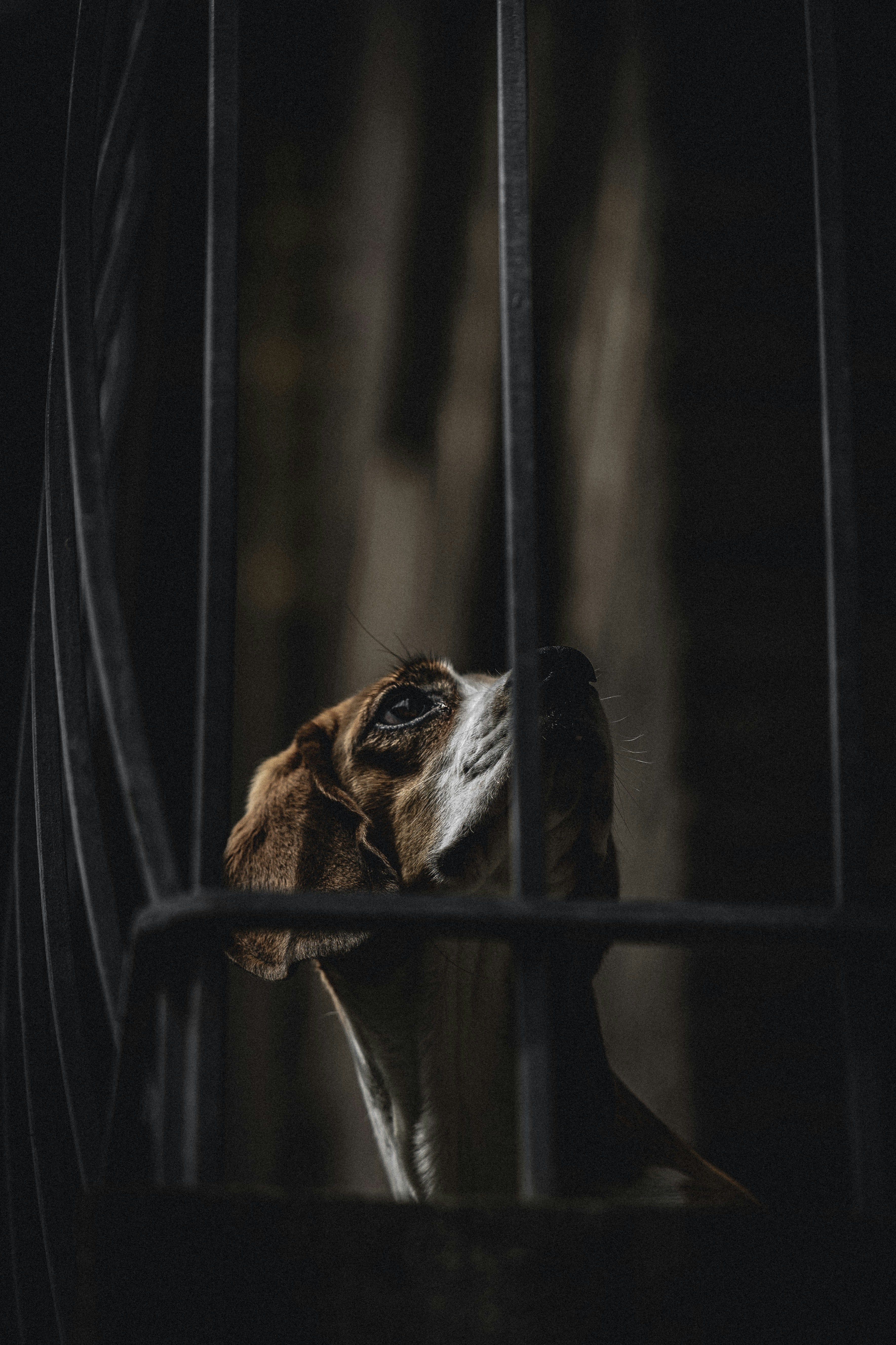 Photo by gijsparadijs