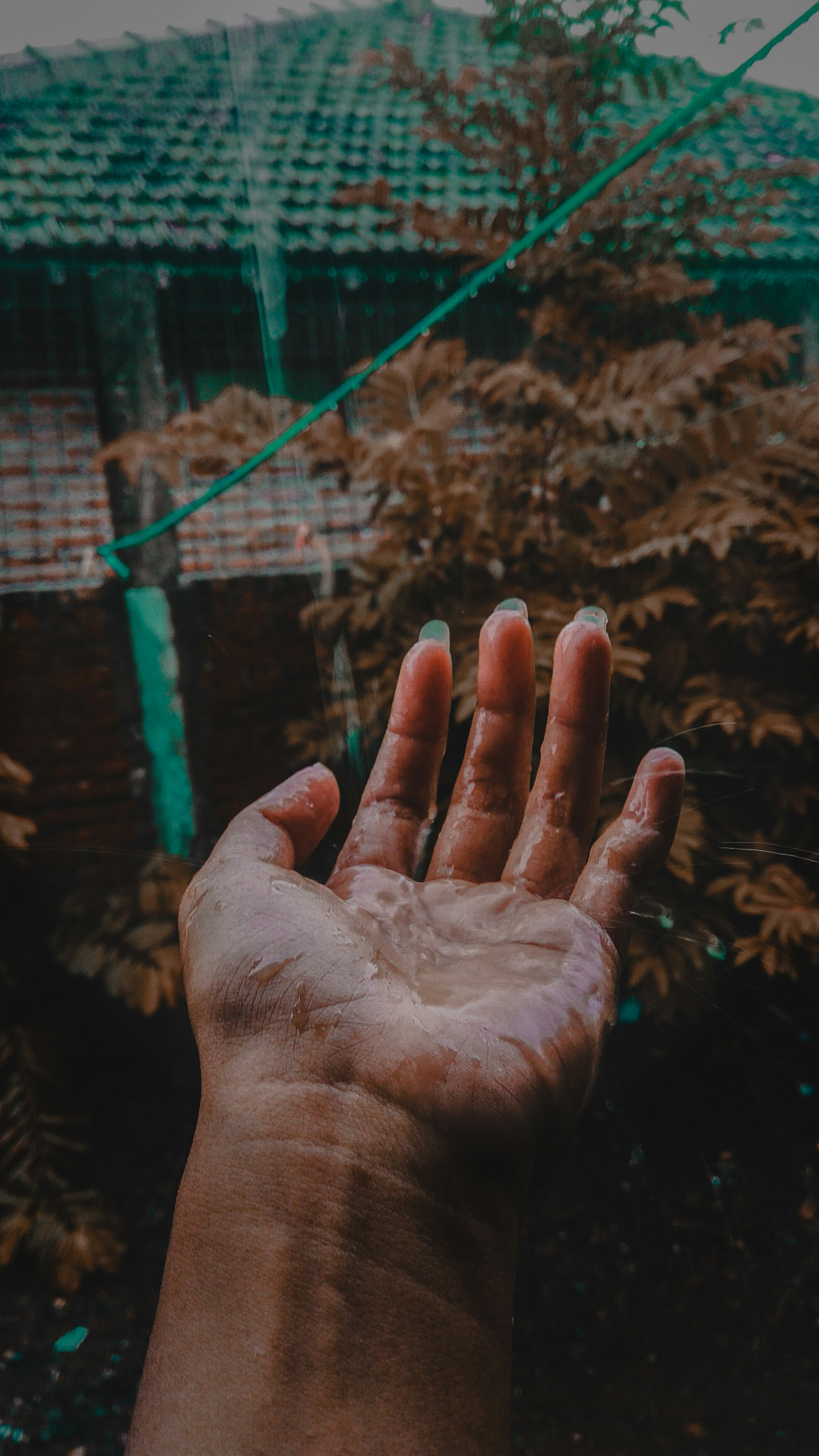 Photo by cinnamonroll