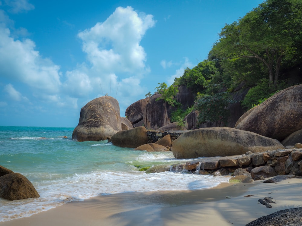 seashore with rocks