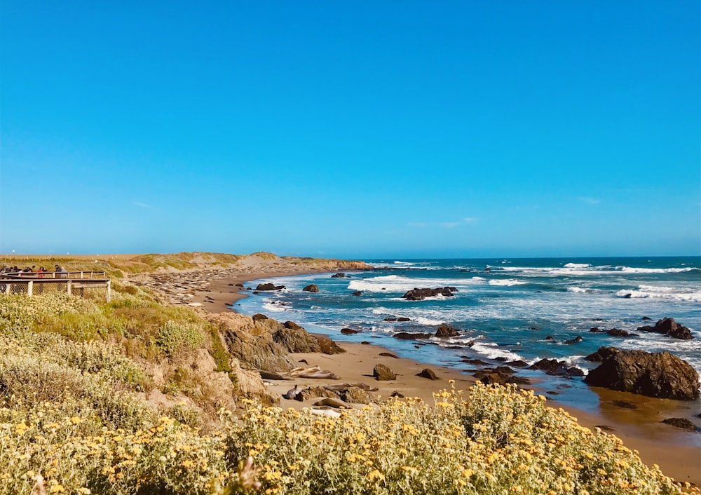 sea waves during daytime