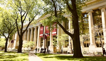 white university during daytime