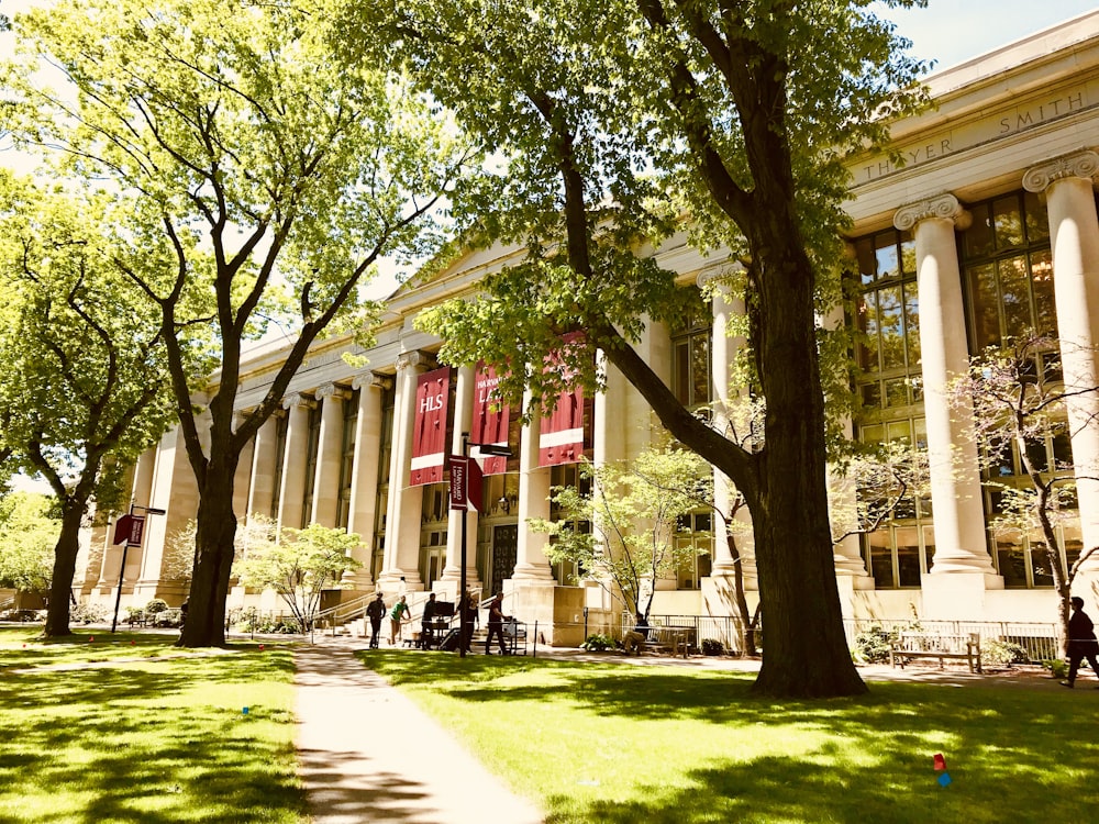 white university during daytime