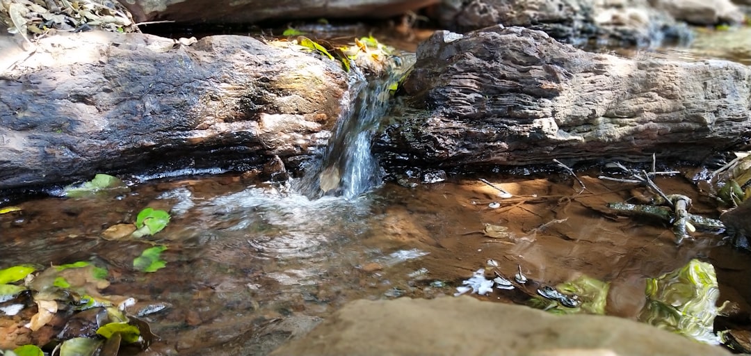 Waterfall photo spot Mullayanagiri - Manikhyadhara - Bababudangiri India