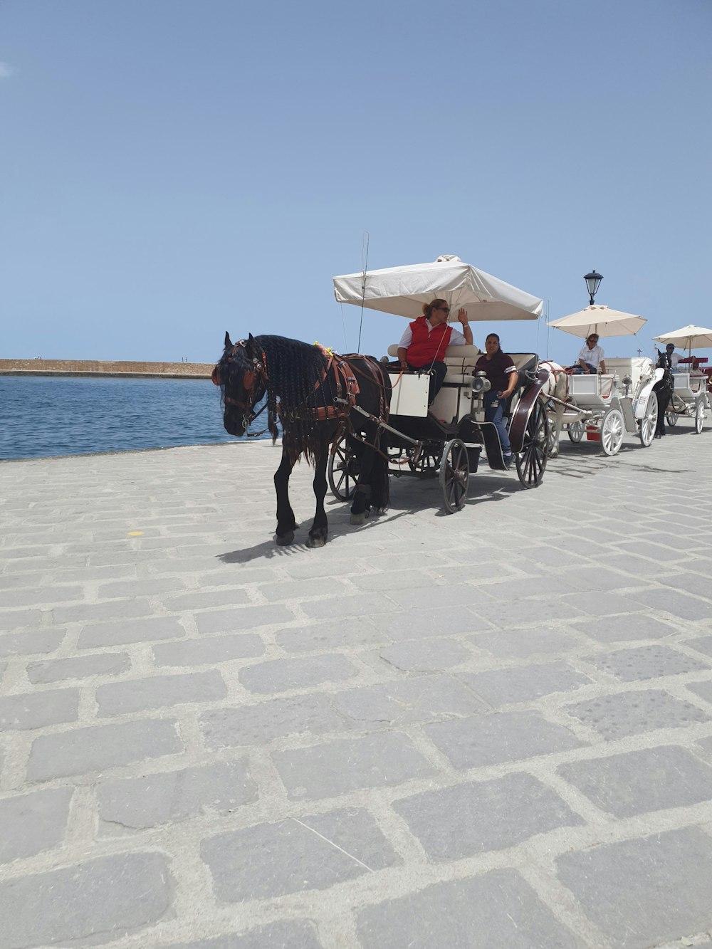 men in horse carriage near body of water