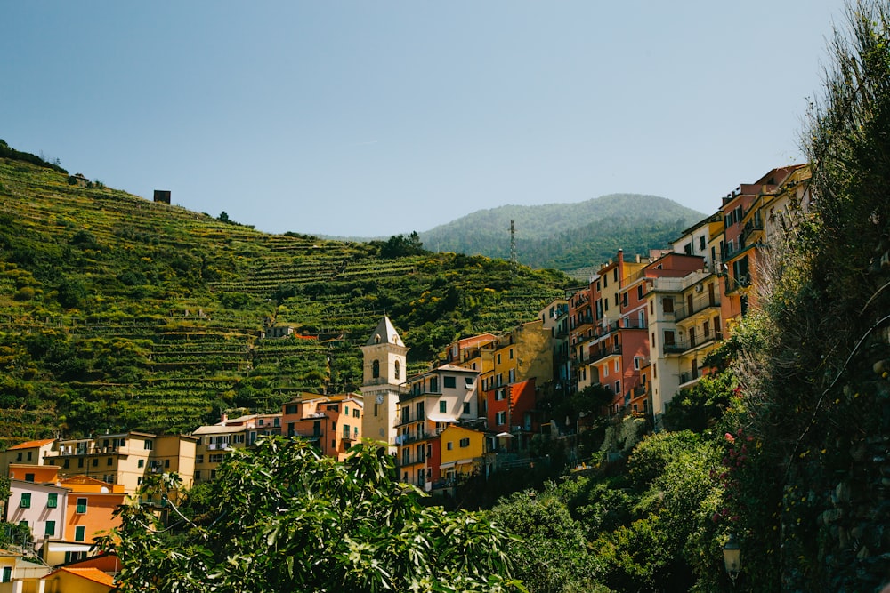 Maisons en béton près des arbres