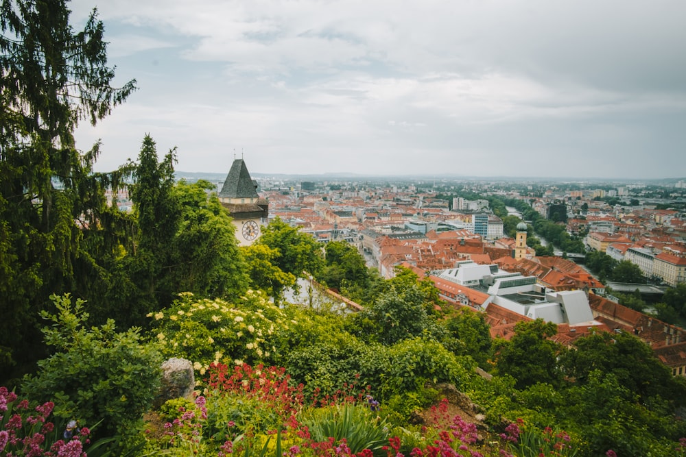 white and brown roofs and green trees