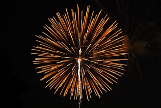 fireworks on focus photography