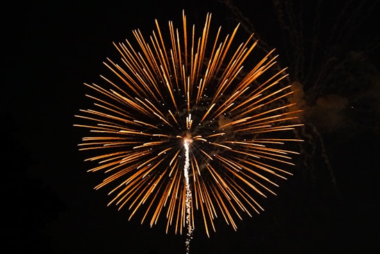 fireworks on focus photography