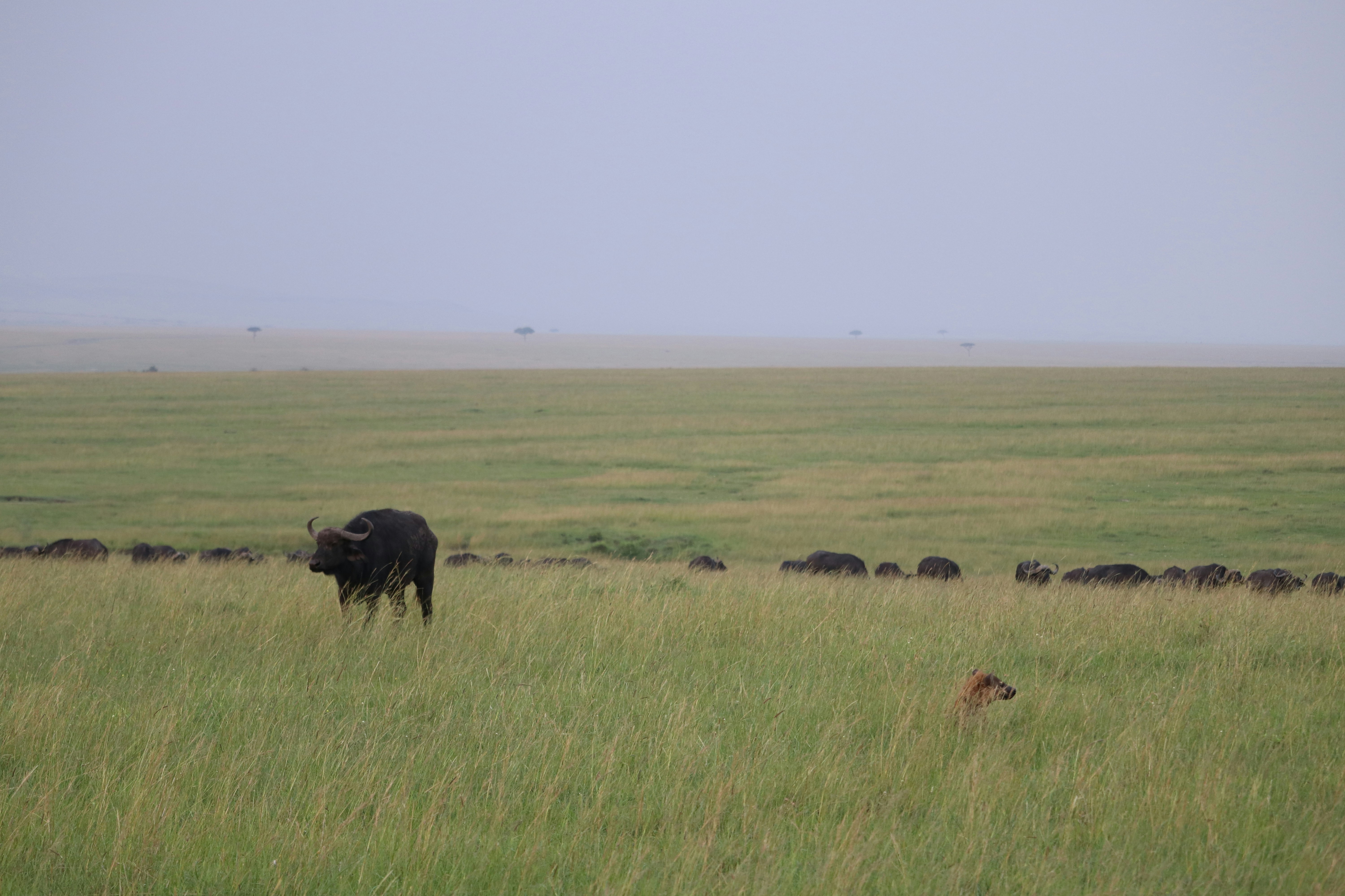 Photo by ericheininger