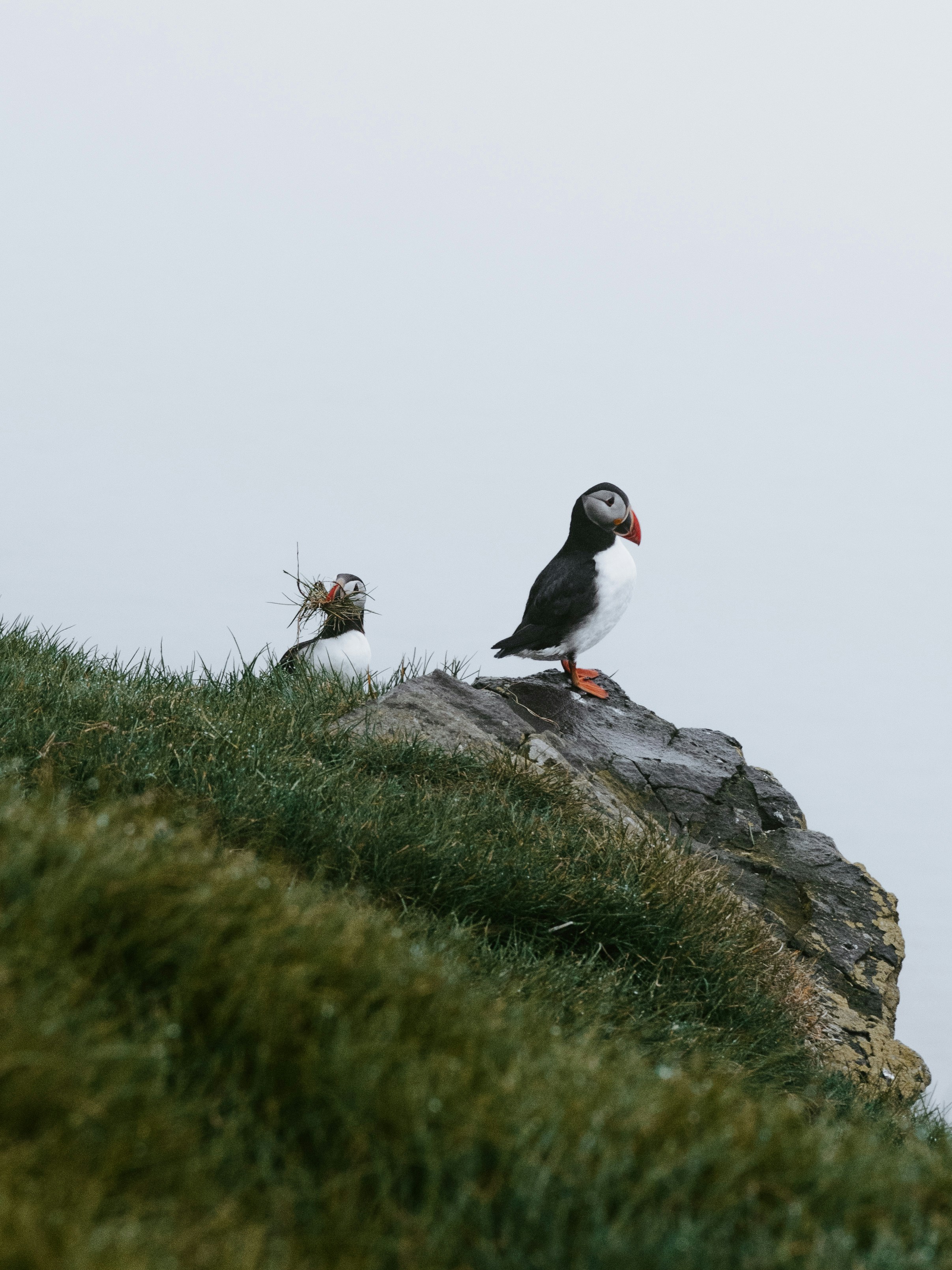 Photo by anniespratt