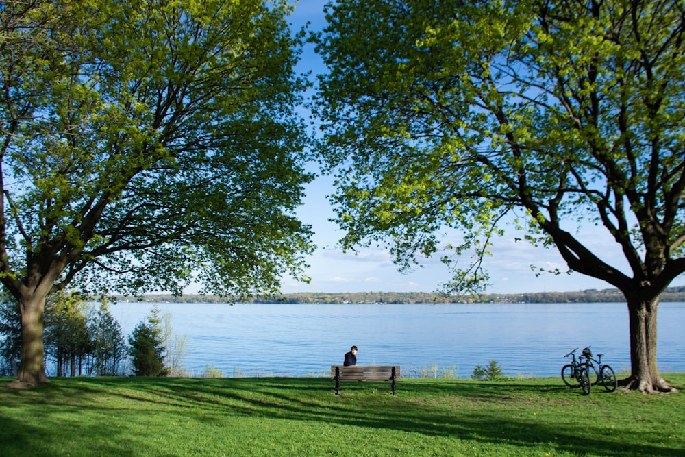 person sitting on bench near body of water