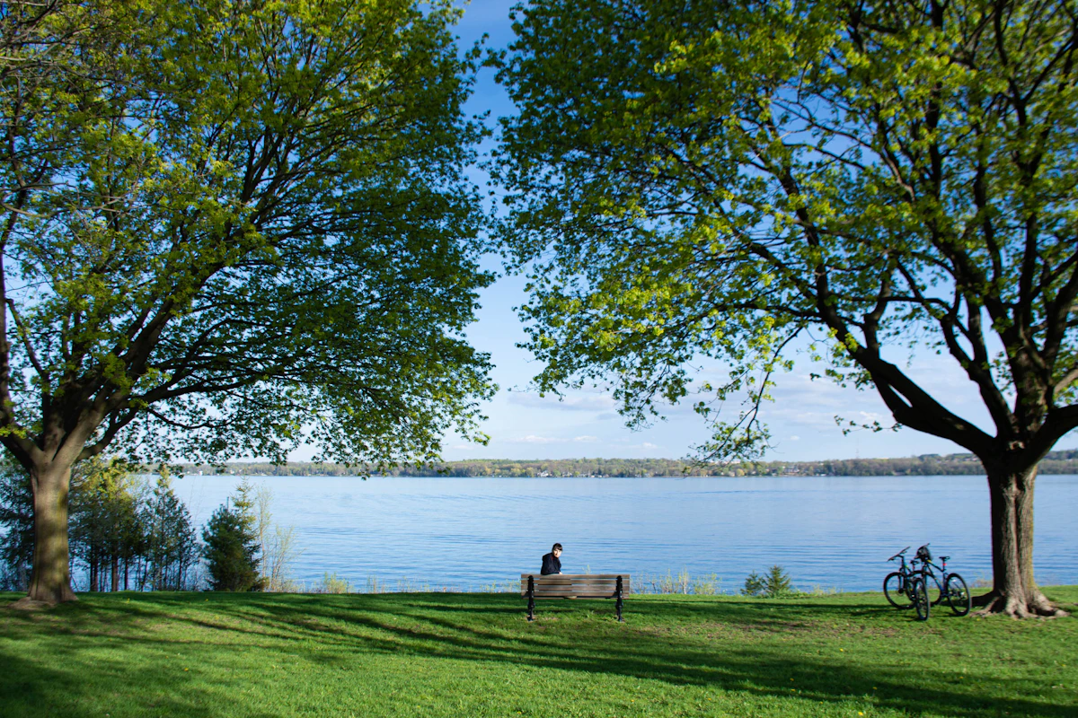 Professional handyman services in Hamilton, Ontario