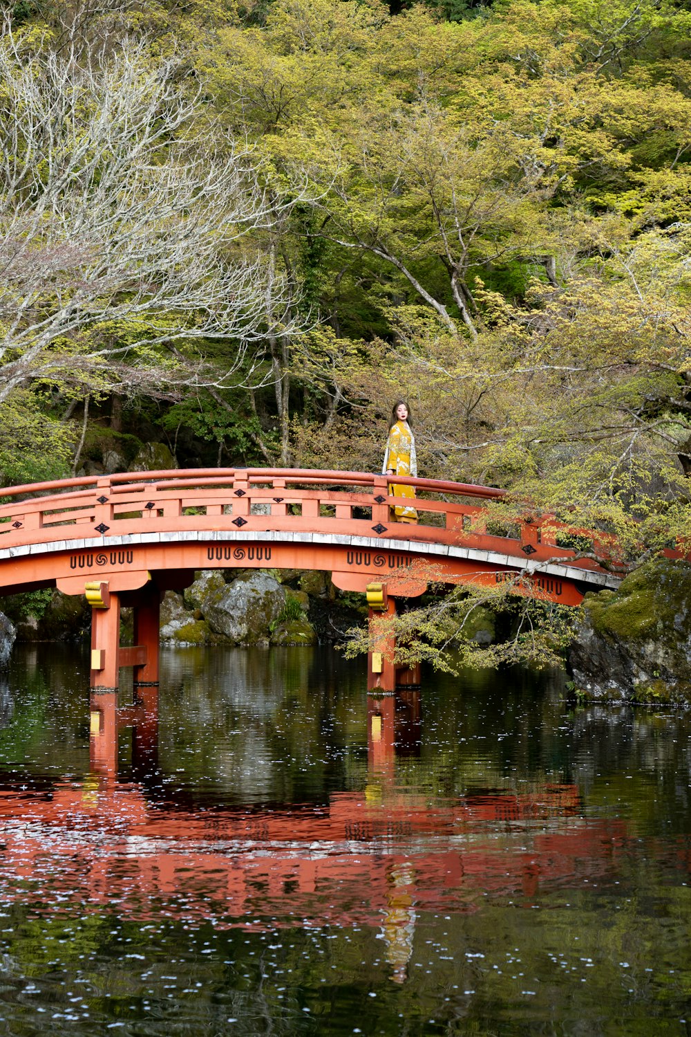 昼間、木々に囲まれた赤いアーチ橋の上に立つ女性