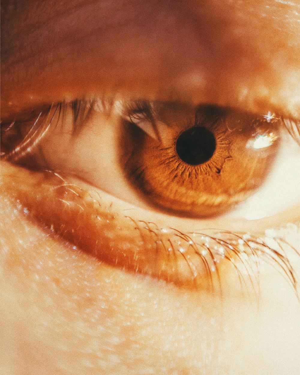 El ojo de la persona