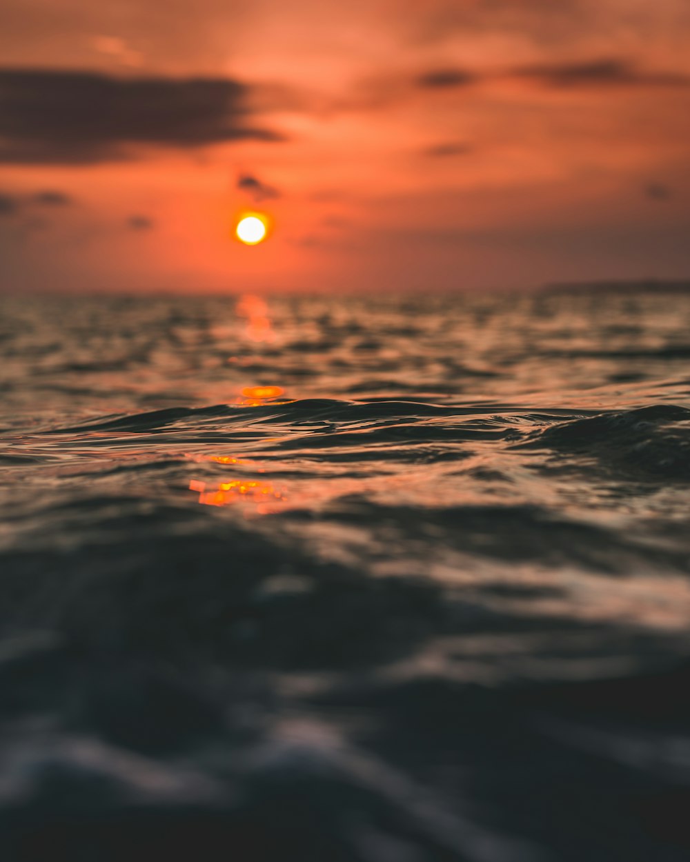 closeup photo of body of water during golden hour