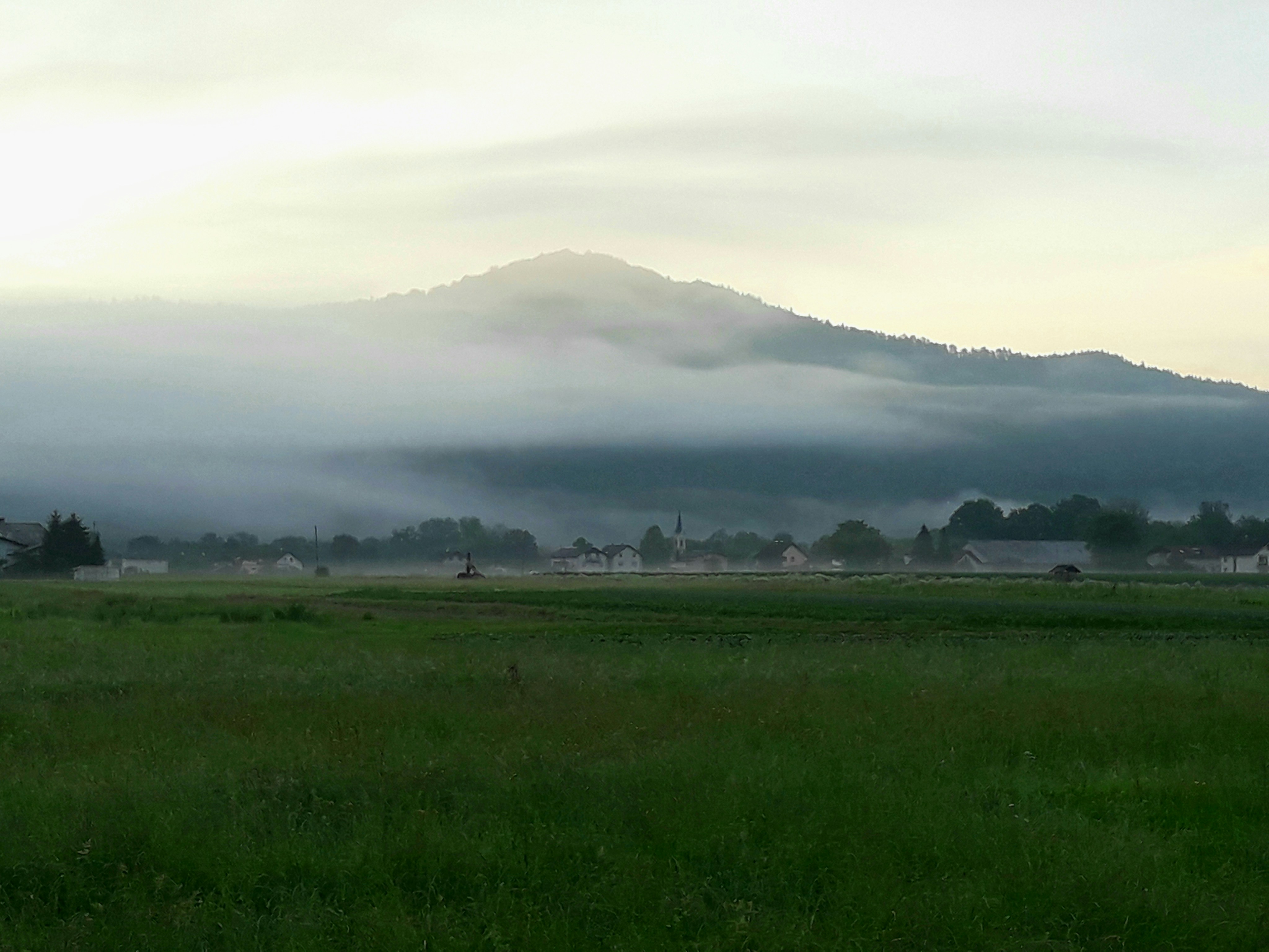 Grünes Gras neben dem Berg