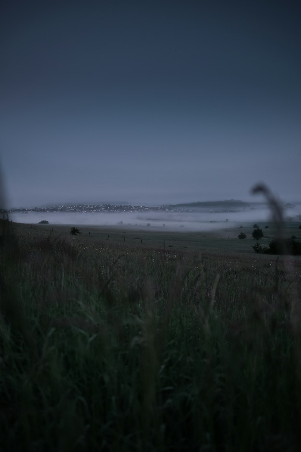 a grassy field with fog in the distance