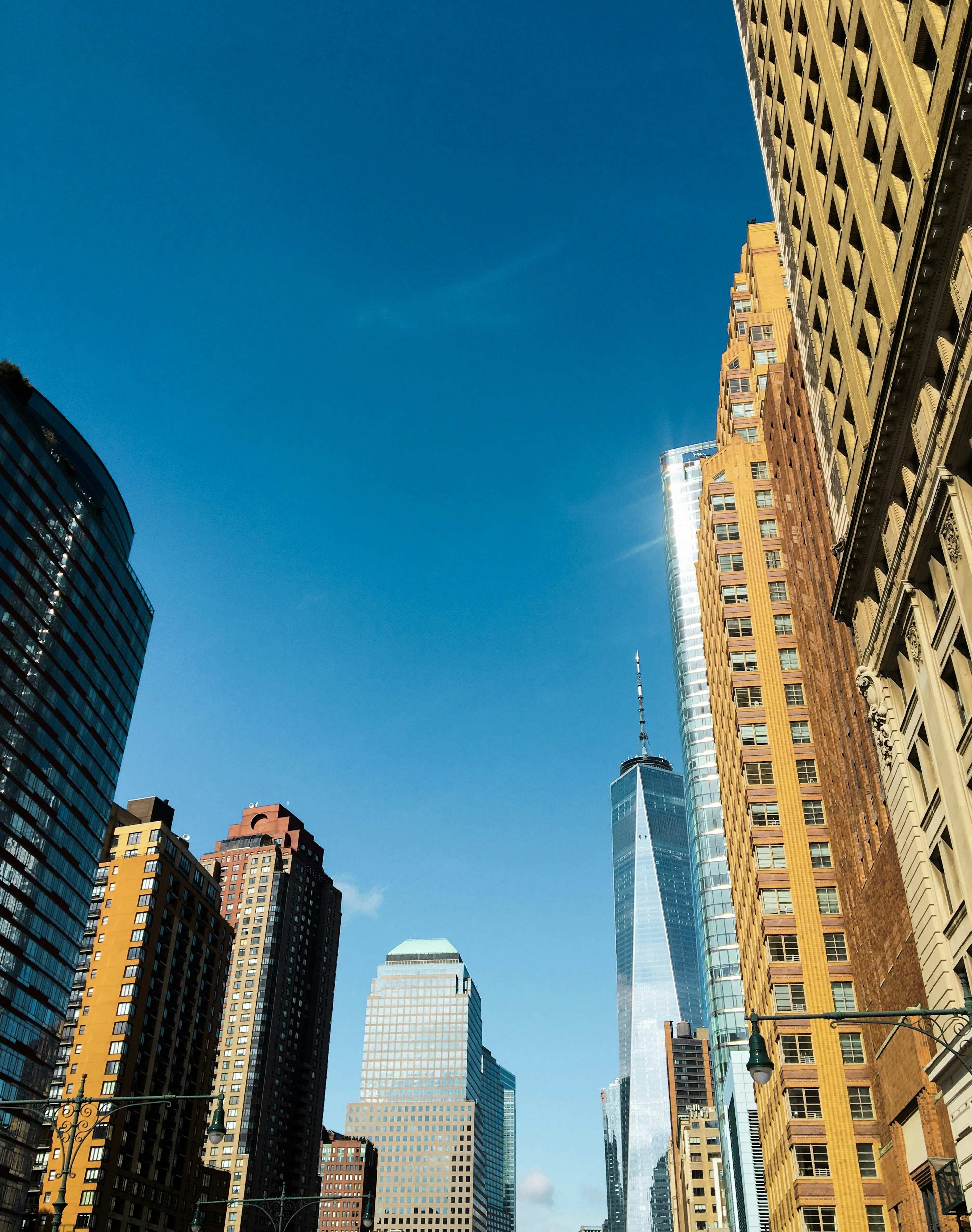 Photo by siamialtrice_