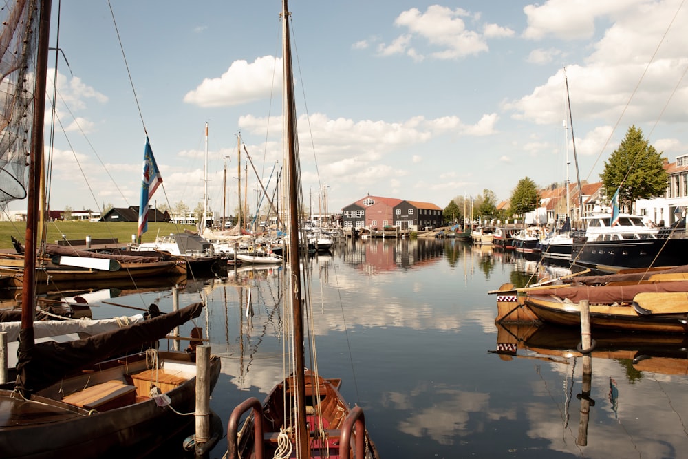 boats and yachts on dock