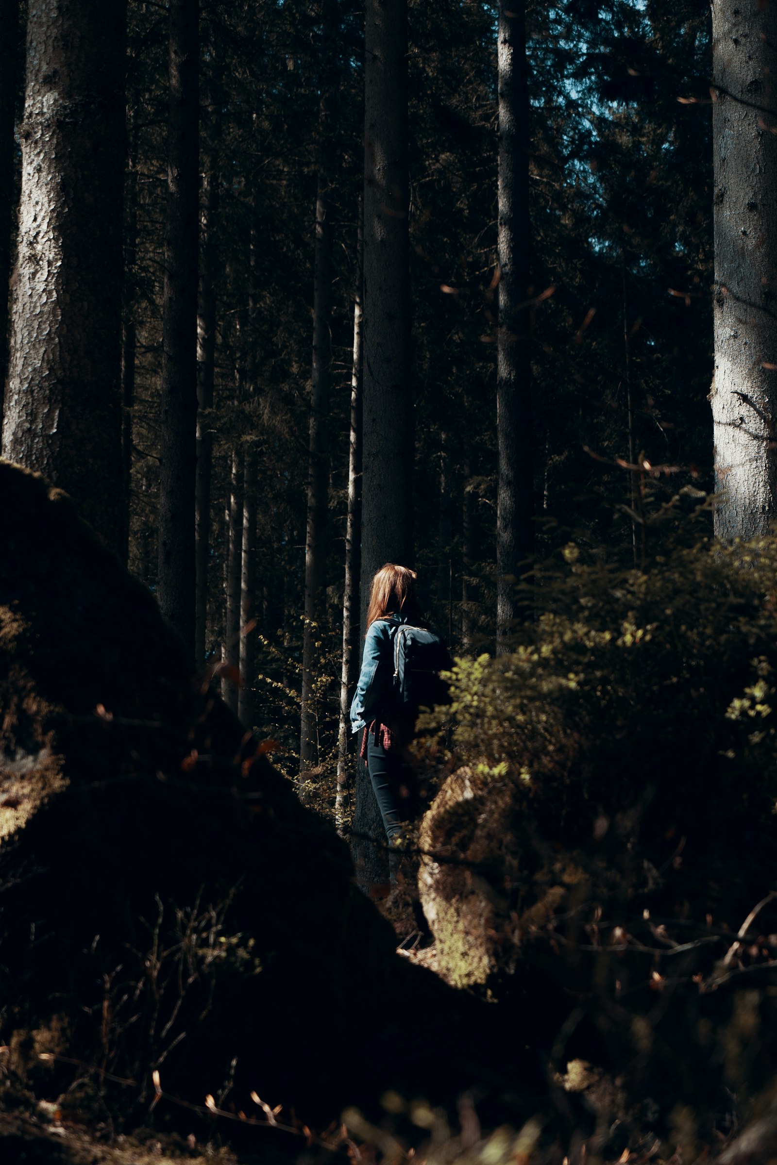 Sony a7 III + Sony Vario Tessar T* FE 24-70mm F4 ZA OSS sample photo. Woman standing on forest photography