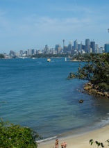 people on beach during daytime