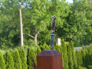 A knife is embedded into the top of a wooden post, set against a lush green background of trees and foliage. The sunlight casts sharp shadows, highlighting the knife