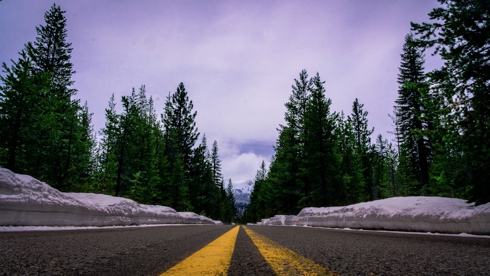 gray and yellow pavement road towards trees