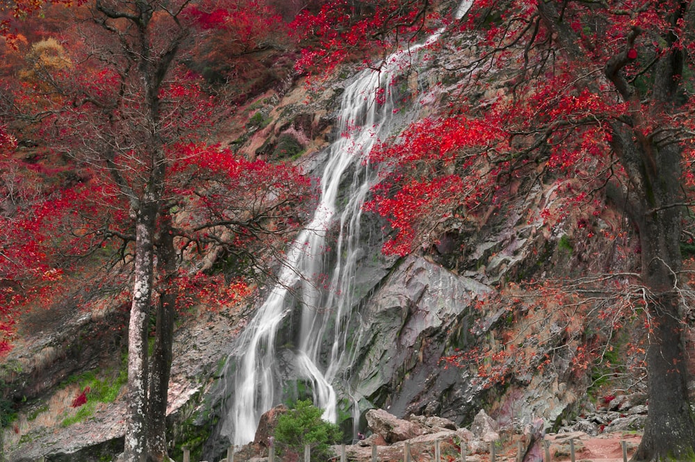 waterfalls during daytime