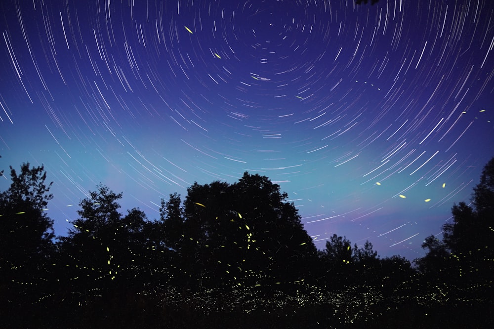 Aurores boréales pendant la nuit