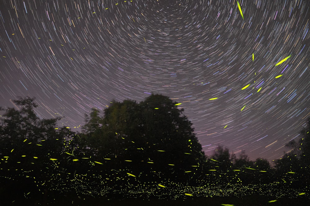 Luce dell'aurora durante la notte