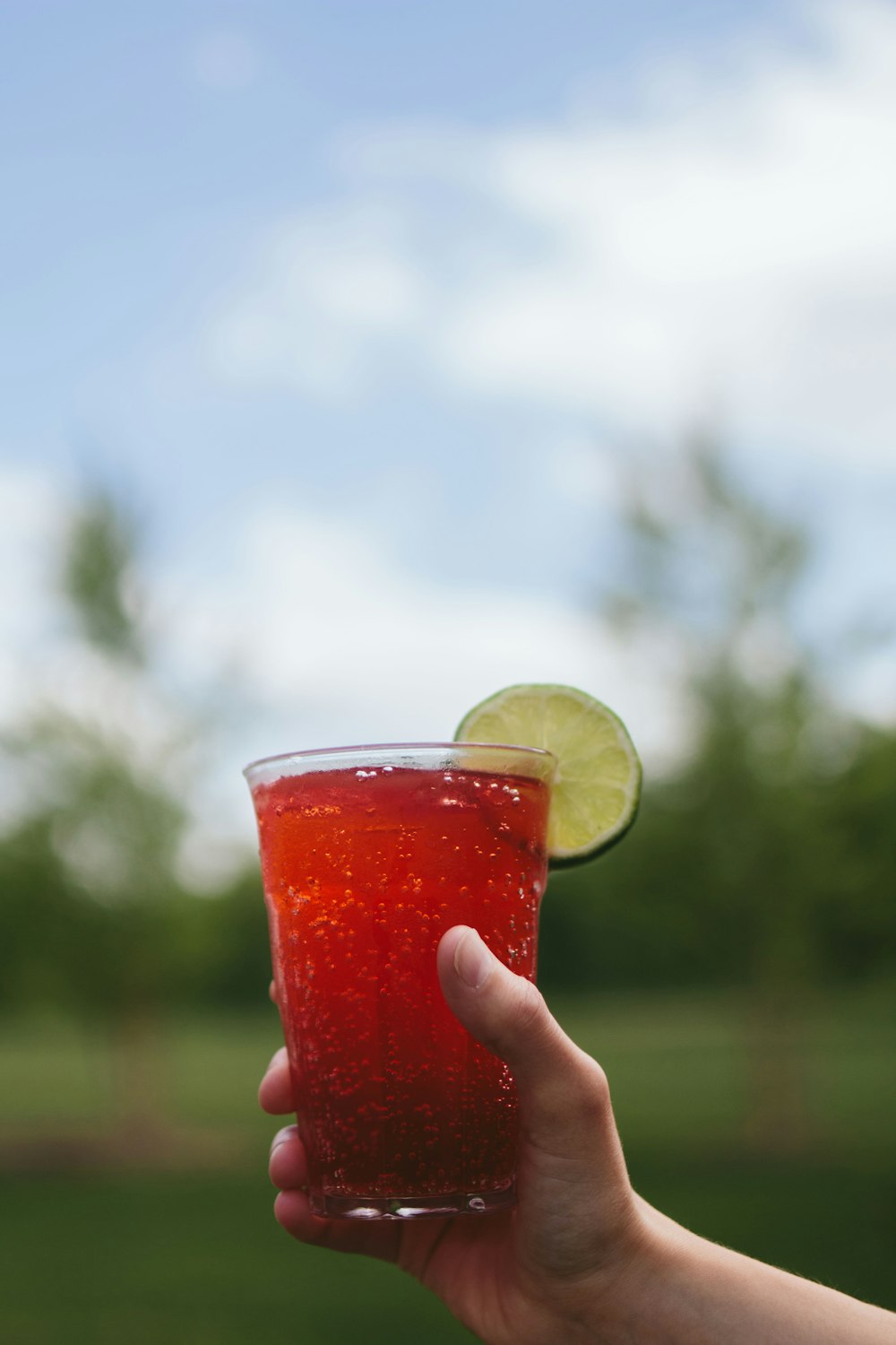 person holding drinking glass with red liquid