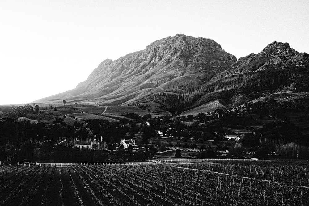 Photographie en niveaux de gris des montagnes