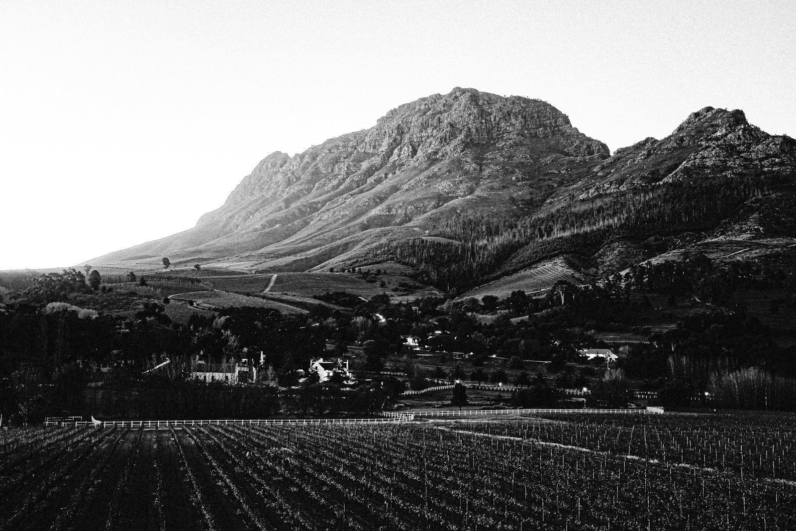 South Africa's Quiet Revolution: Why 2026 Is the Year Bruce Jack Wines Belong on Every American Wine List