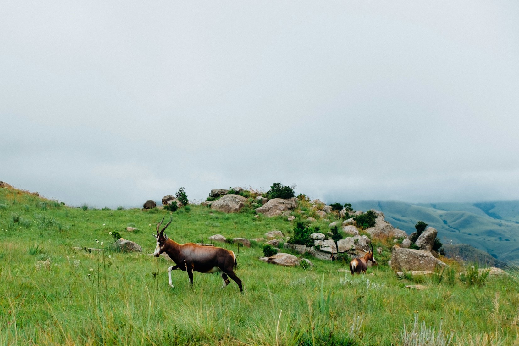 Swaziland National Park in Eswatini (Ashim D’Silva via Unsplash)