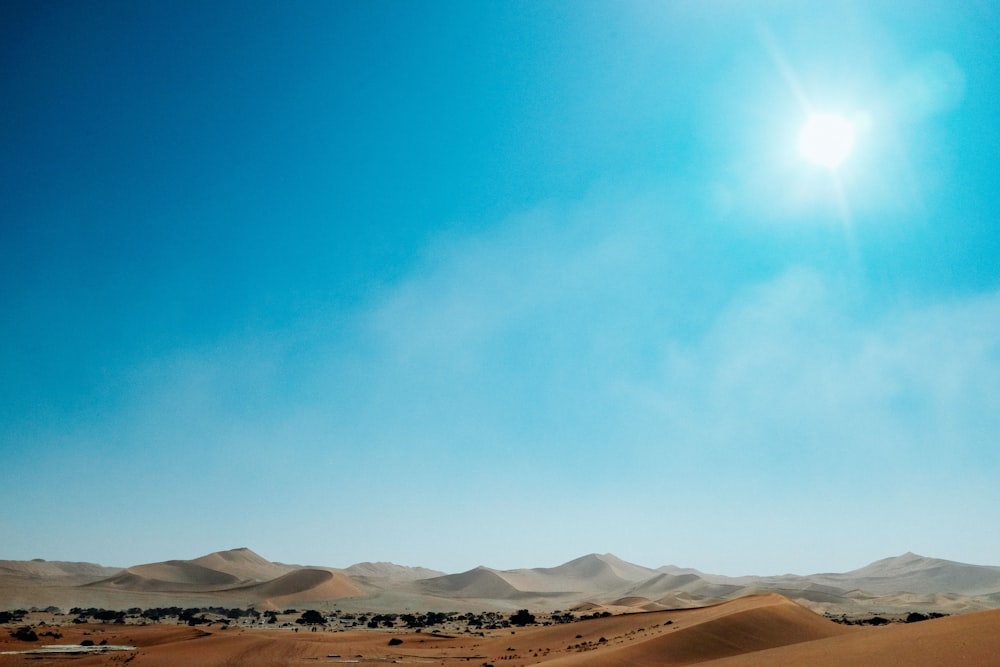 desierto durante el día