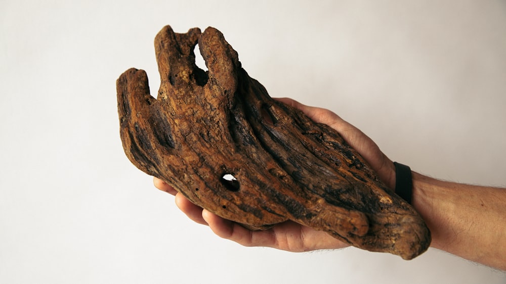 person holding wood