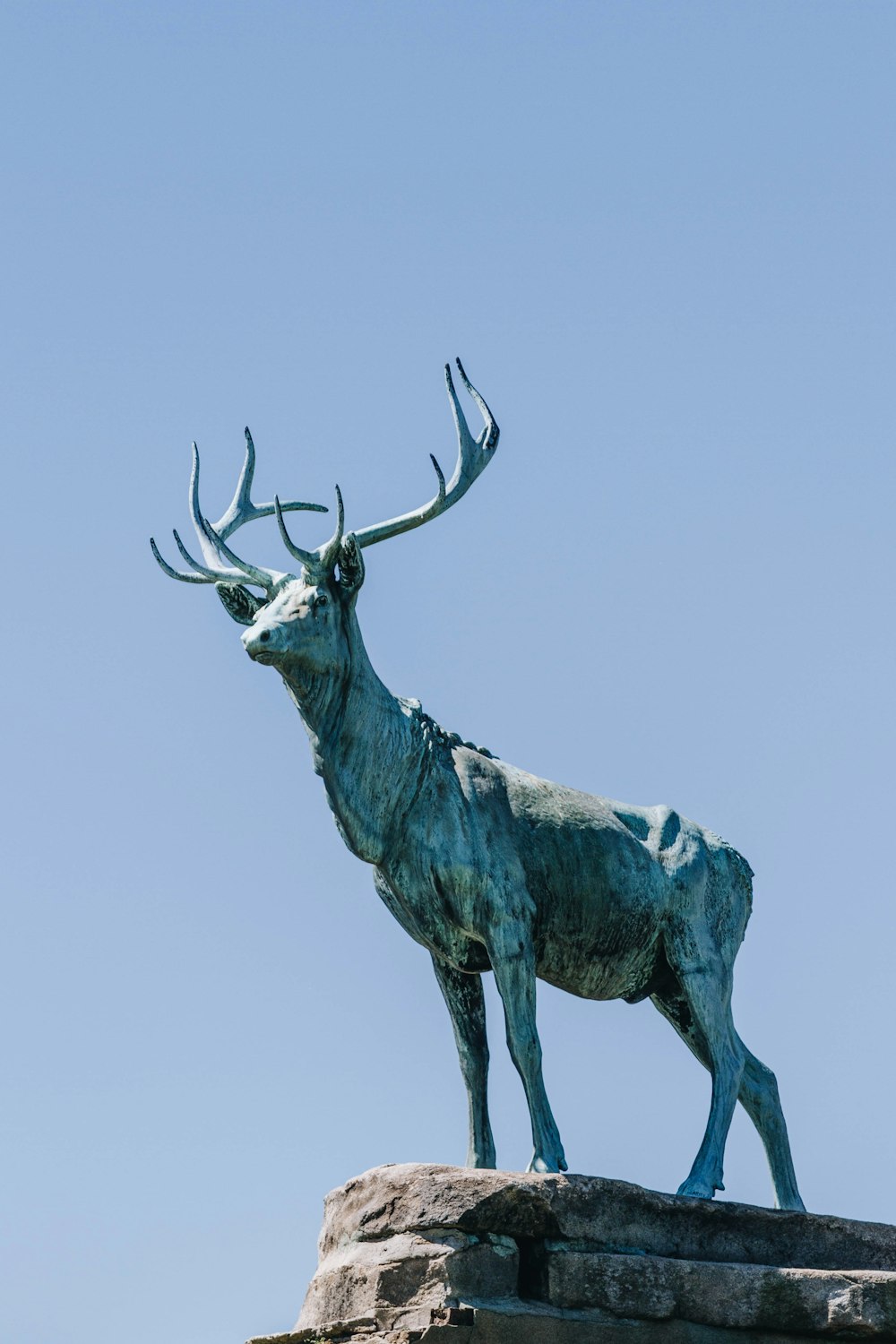 gray deer concrete statue