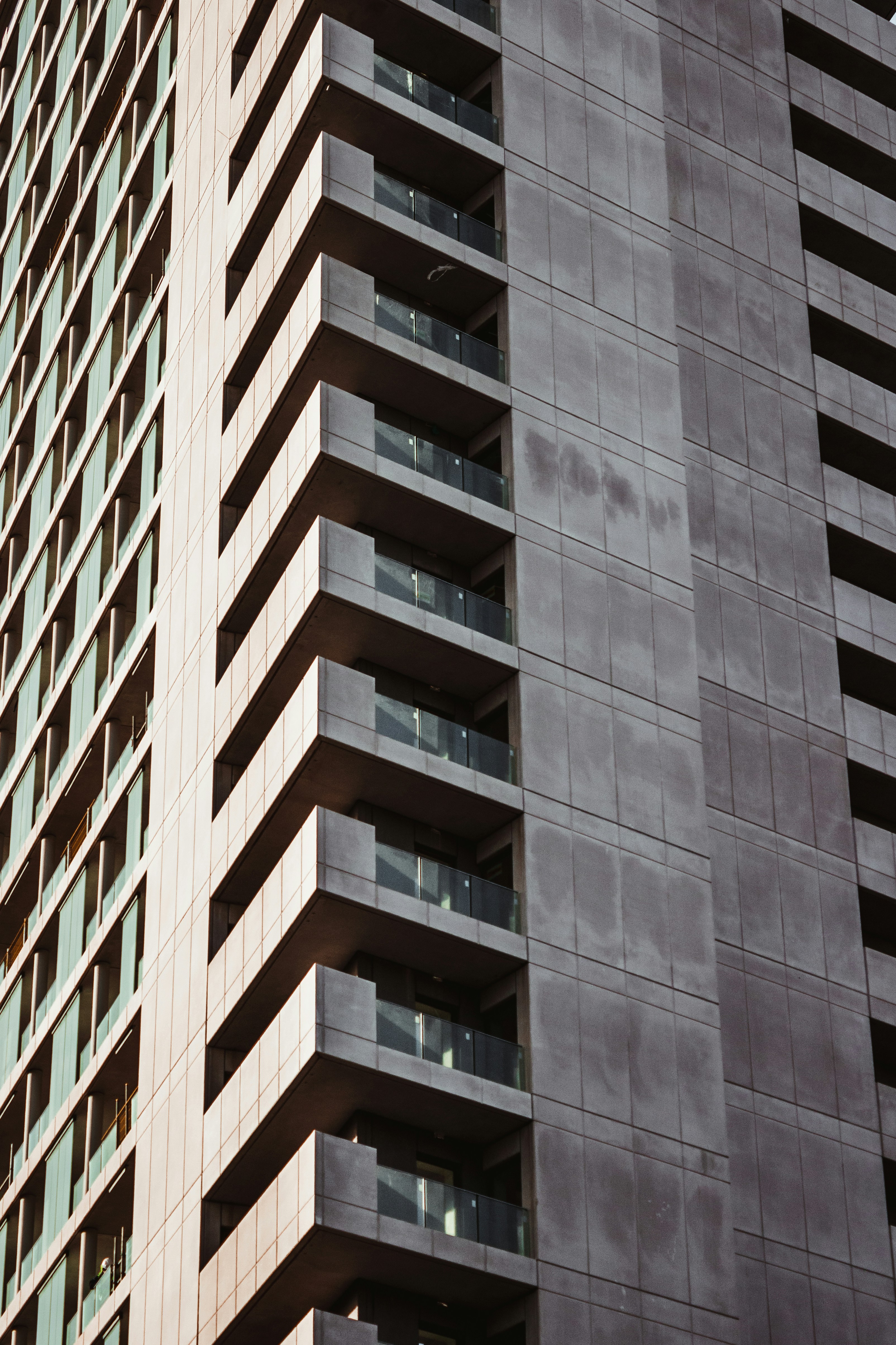 Photo by connorpopephotos