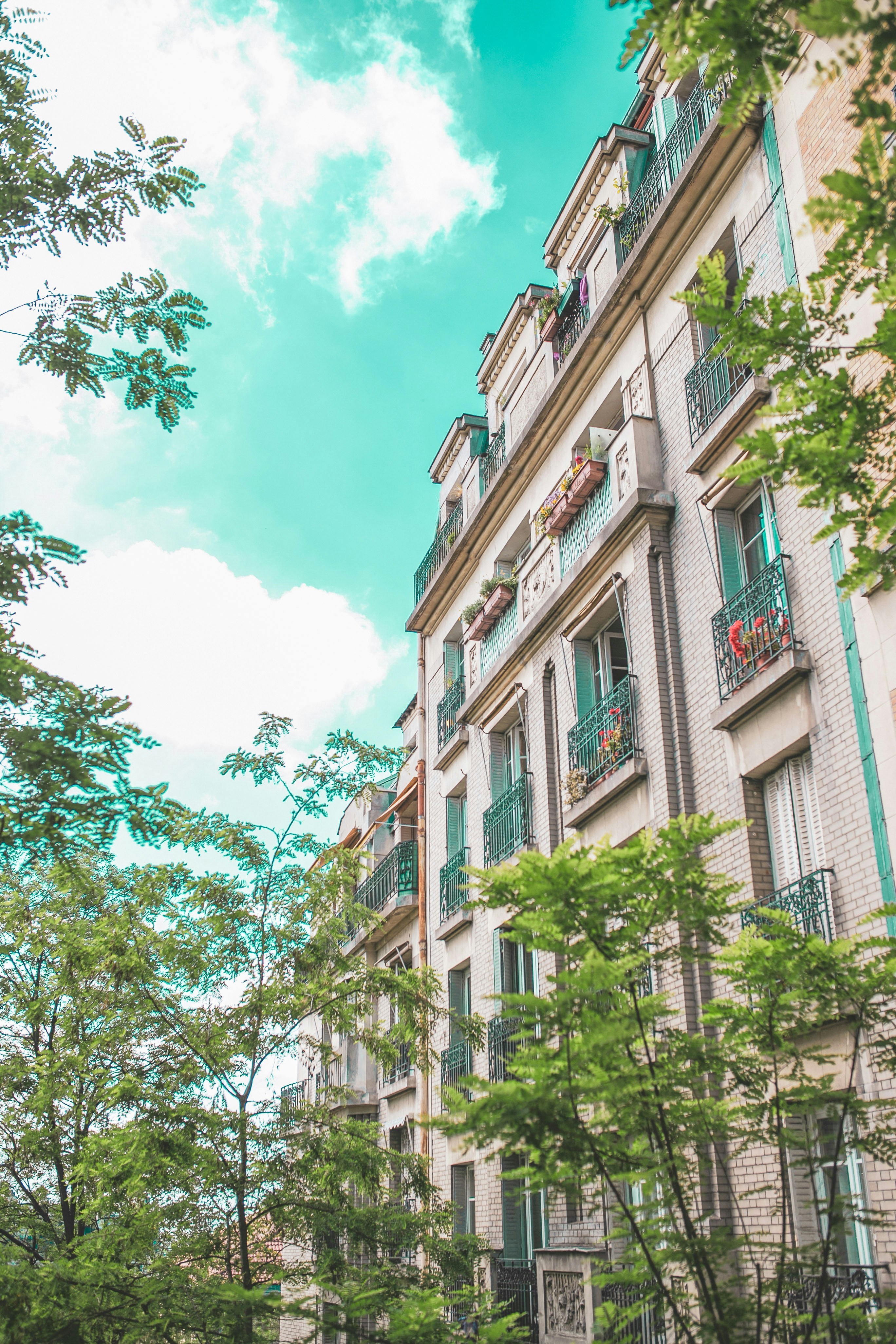 Photo by darinasklenarova