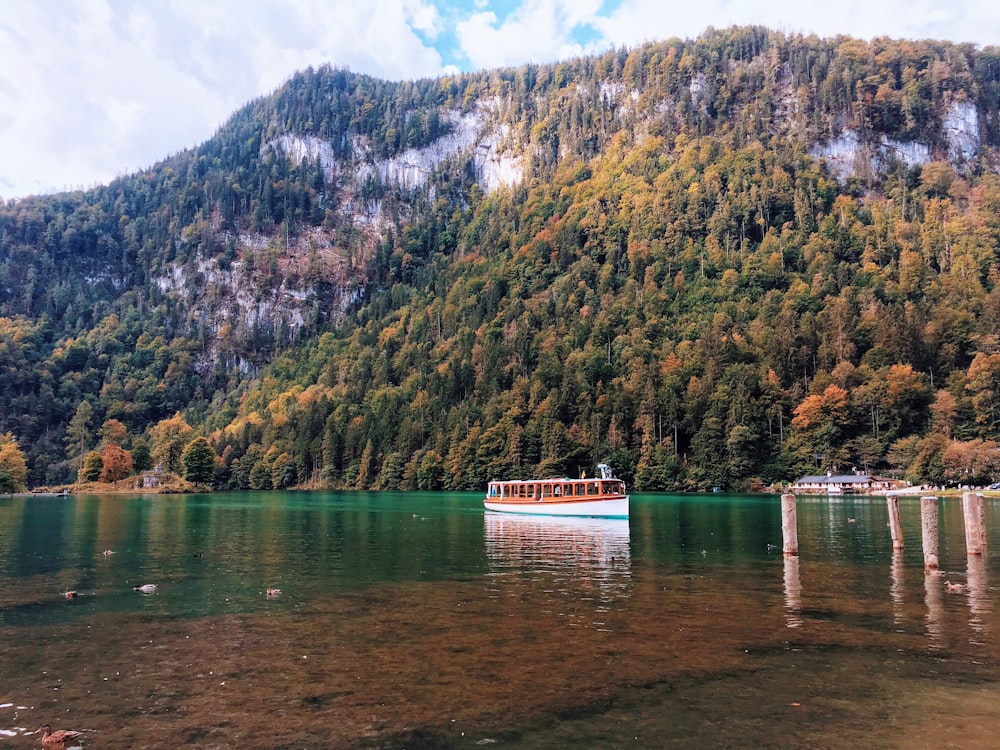 brown and white boat in middle of body of water during daytime