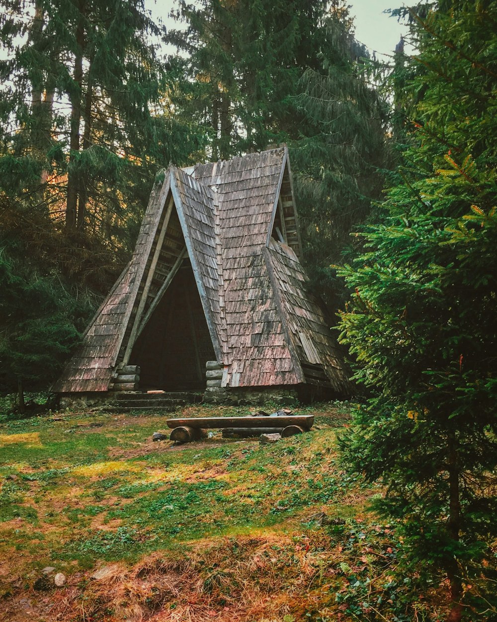 Chalet brun dans les bois