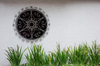 A decorative circular wrought iron grill with intricate spiral patterns is mounted on a plain, light-textured white wall. Below, a row of lush green plants with tall, slender leaves and budding yellow flowers lines the bottom edge.