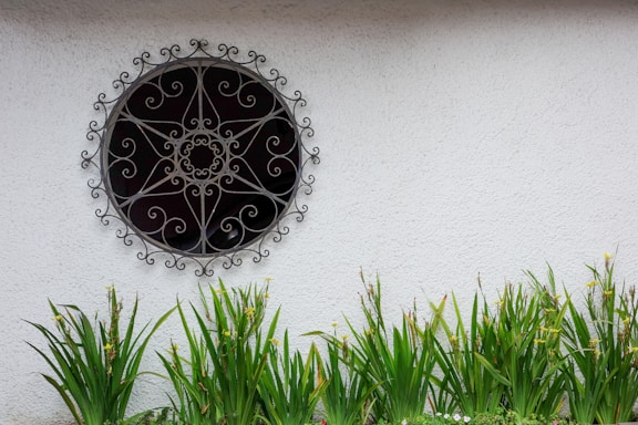 A decorative circular wrought iron grill with intricate spiral patterns is mounted on a plain, light-textured white wall. Below, a row of lush green plants with tall, slender leaves and budding yellow flowers lines the bottom edge.
