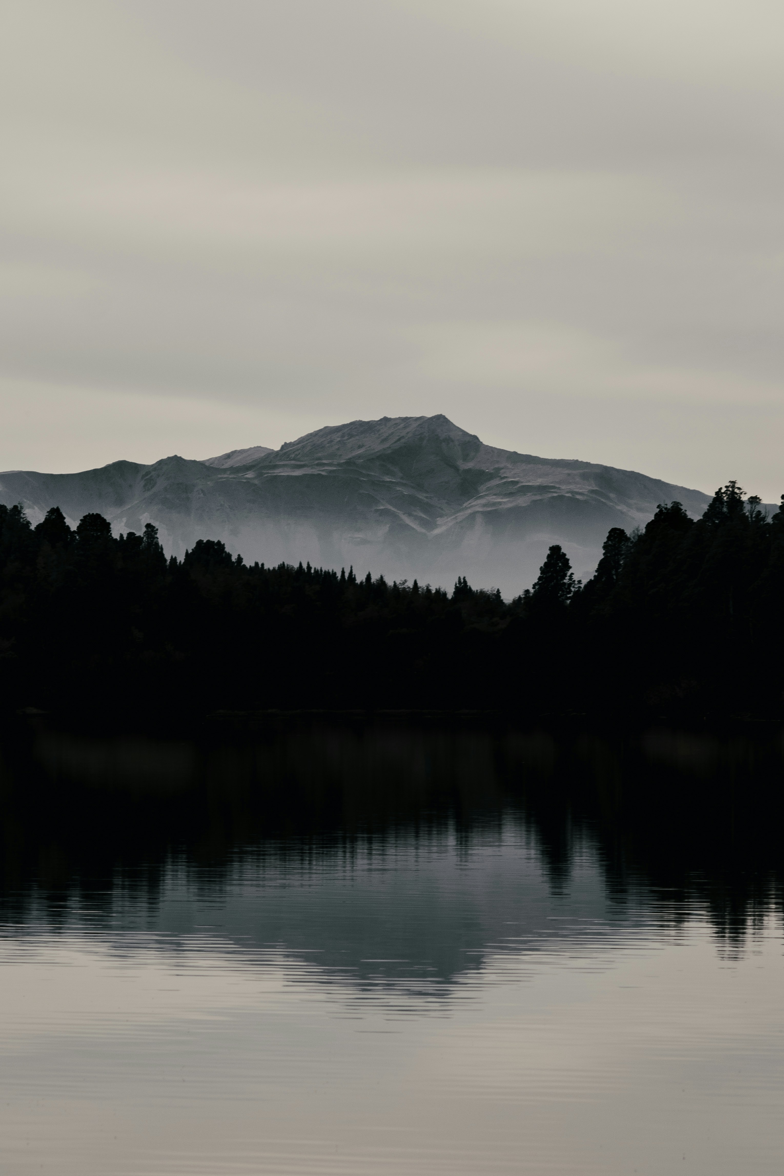 Photo by gasparzaldo