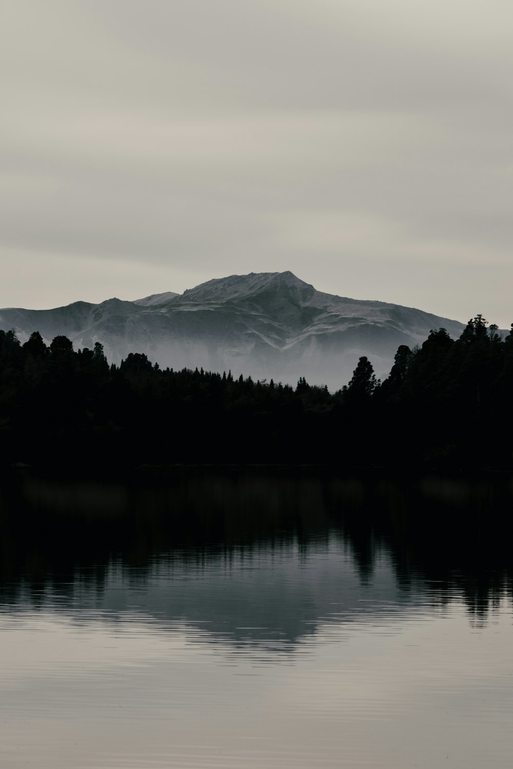 Silueta de montaña y pinos